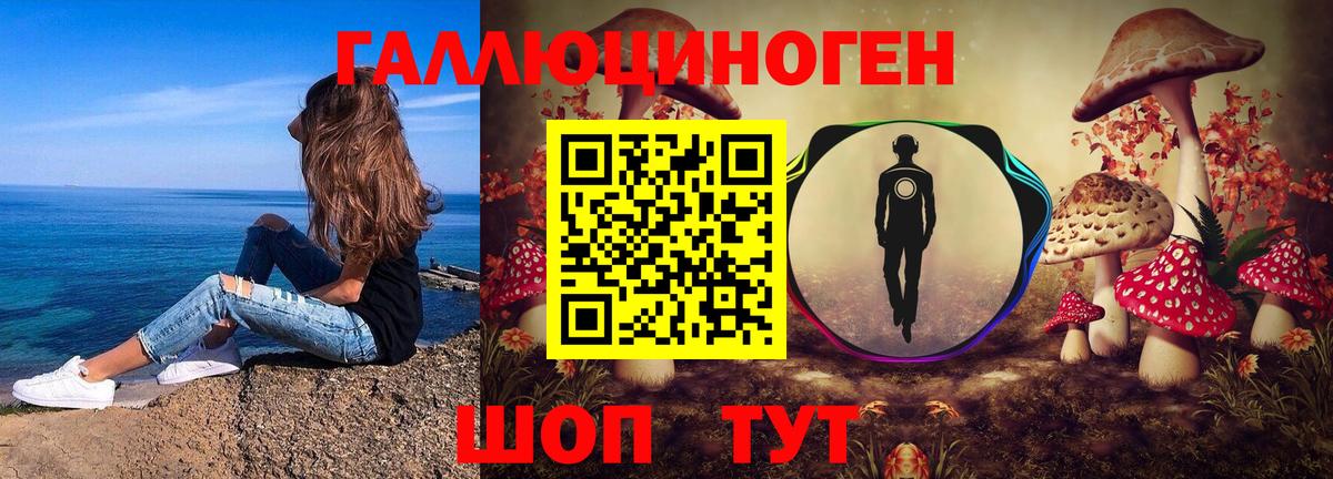 Ефремов  Псилоцибиновые грибы Psilocybe  Вход с VPN  Псилоцибиновые грибы MAGIC MUSHROOMS 